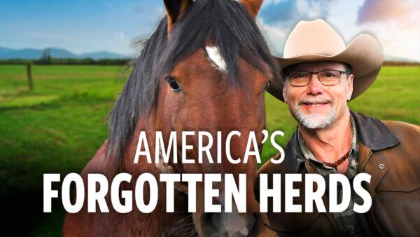 The Shocking Decline of America’s Wild Horses
