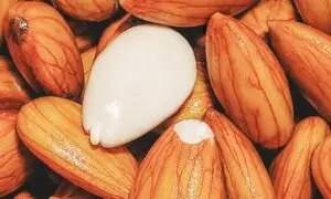 How to Soak and Sprout Nuts and Legumes to Reduce Tannins