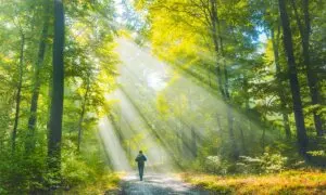 How Nature Rewires Your Brain–in Measurable Ways
