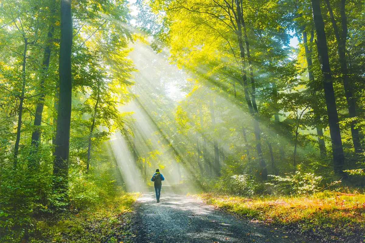 How Nature Rewires Your Brain–in Measurable Ways
