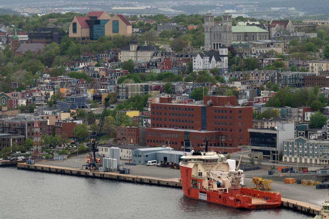 Multi-Brawl Game That Drew 572 Penalty Minutes a ‘Black Eye’ on NL Hockey: Official