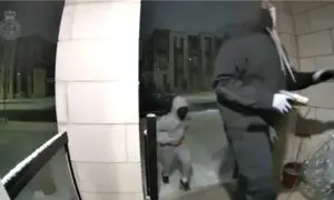 Toronto Area Police Share Footage of Attempted Home Invasion That Ended After Resident Fires at Intruders