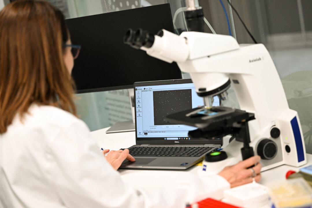 Australia Falling Behind on R&D, Spending 43 Percent Below OECD Average