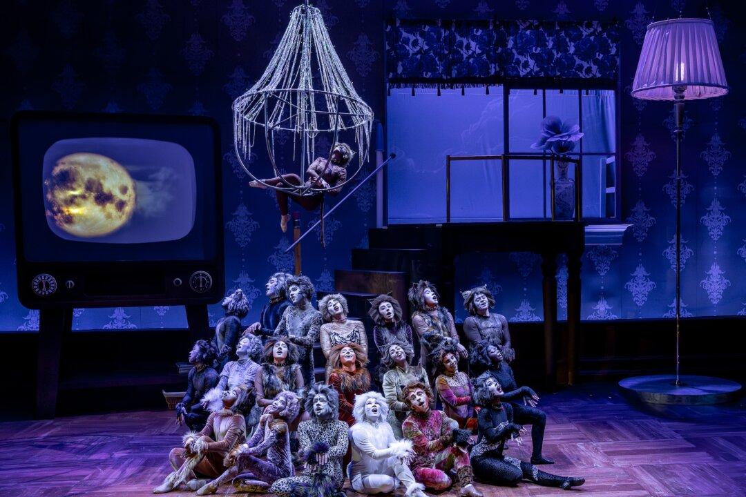‘Cats’: A Beloved Musical Now in Chicago