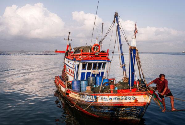 Day in Photos: ‘Green Oil’ Price Surge, Pakistani Air Strike, and Vinyl Record Collection