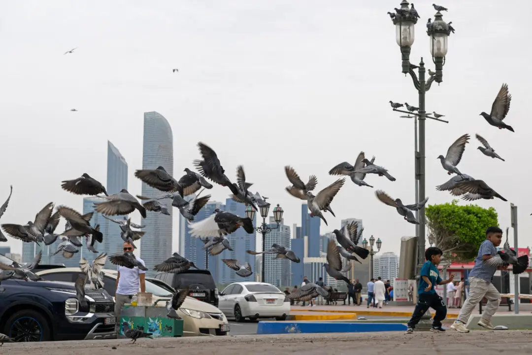 UAE Announces Acceleration of Pipeline to Bypass the Strait of Hormuz