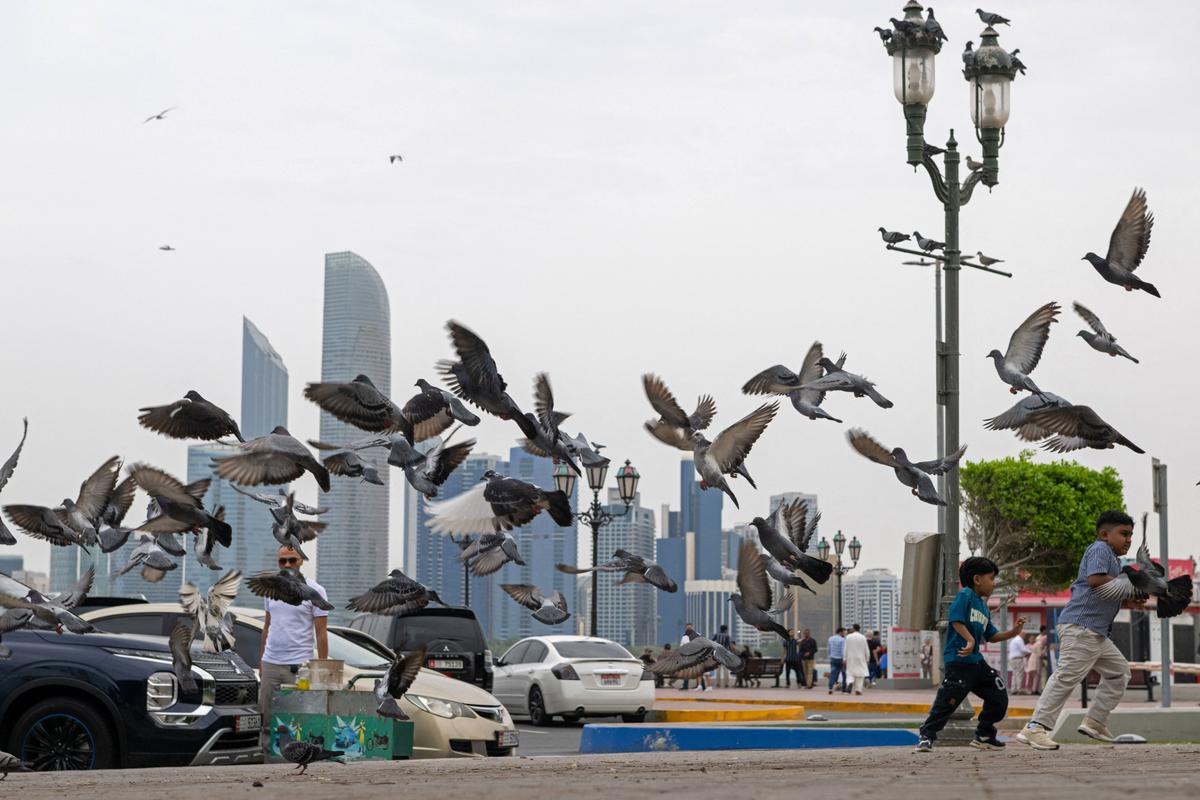 UAE Announces Acceleration of Pipeline to Bypass the Strait of Hormuz