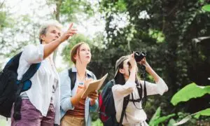 Birding: A Hobby That Gives a ‘Euphoric Effect’ and Relieves Anxiety