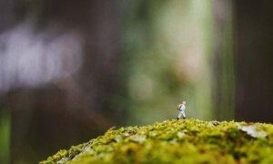 The Quiet Disciplines Behind a Good Life