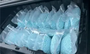 Montreal Man Charged With Opioid Trafficking in US Facing 120 Years Behind Bars