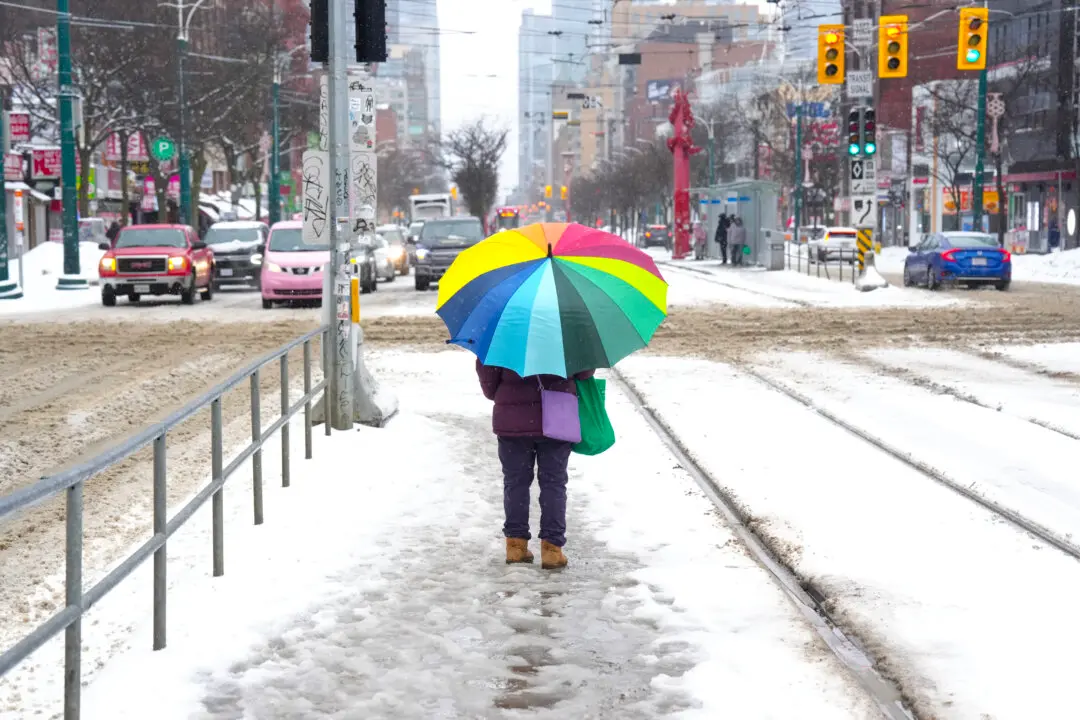 Authorities Warn Torontonians to Stay Away From Rivers and Lakes After Heavy Rainfall