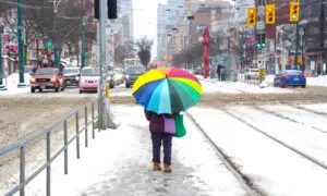 Authorities Warn Torontonians to Stay Away From Rivers and Lakes After Heavy Rainfall