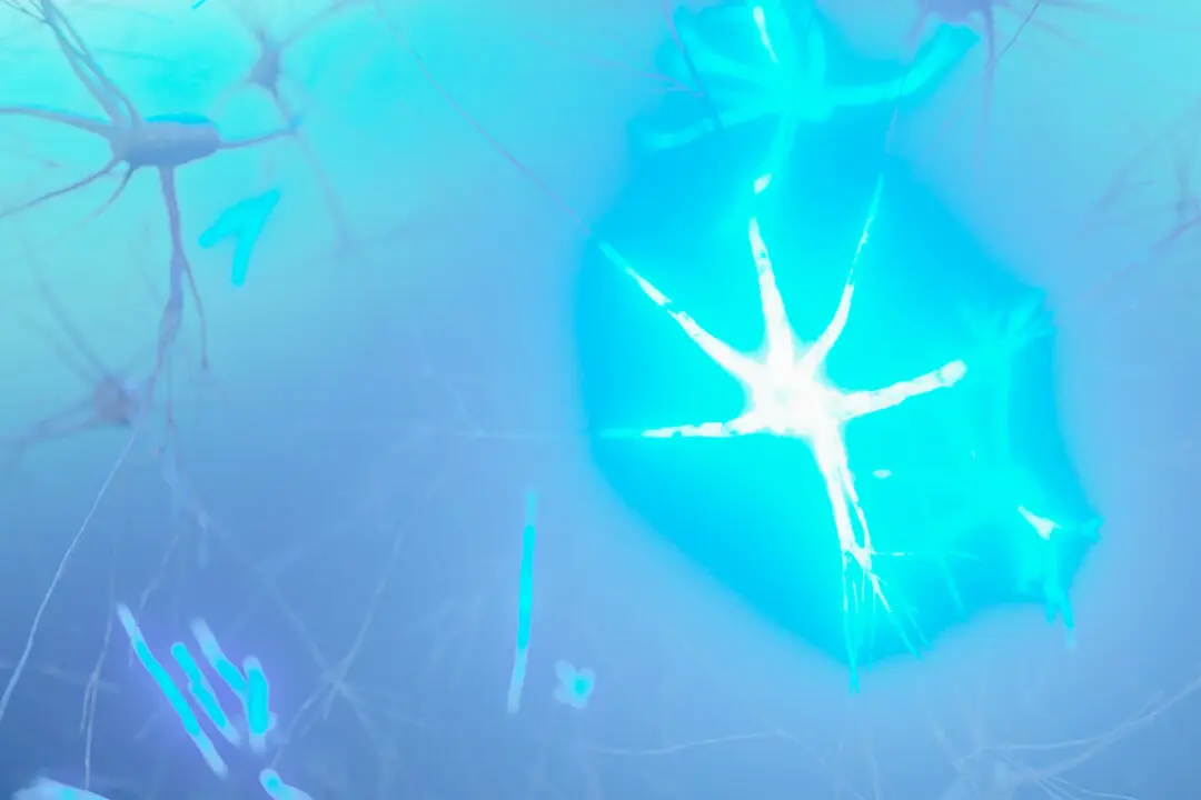 Neuroscience Reveals What You Believe Can Change Your Body