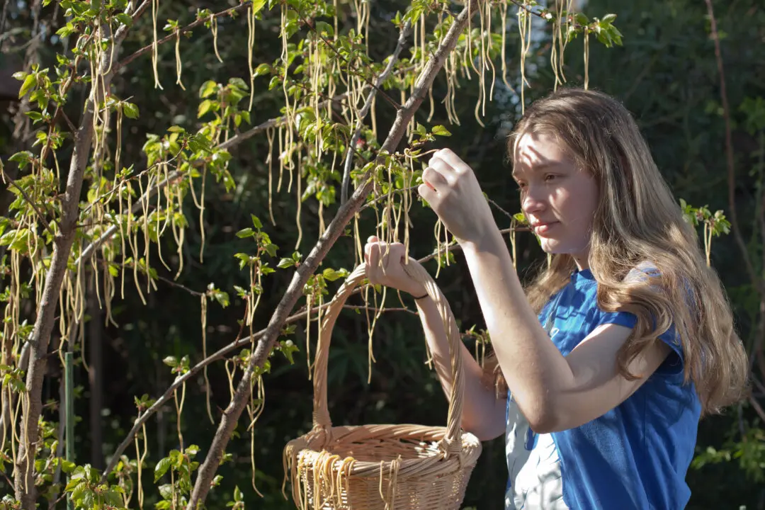 Pranks, the Press, and Three Presidents: Famous April Fools’ Jokes