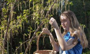 Pranks, the Press, and Three Presidents: Famous April Fools’ Jokes