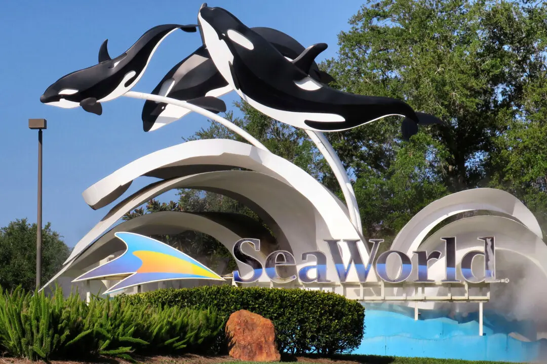 DOJ Sues SeaWorld’s Parent Company Over Ban on Wheeled Walkers at Their Parks