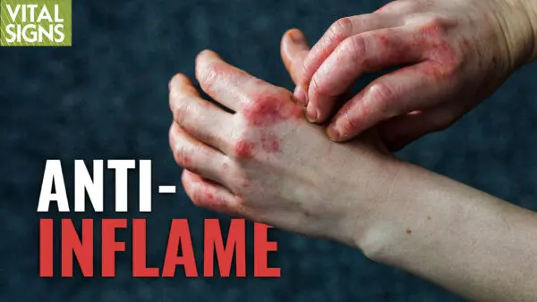 How to Reboot Your Immune Sys to Stop Allergies, Arthritis, Gut Issues | Jeffrey Bland PhD