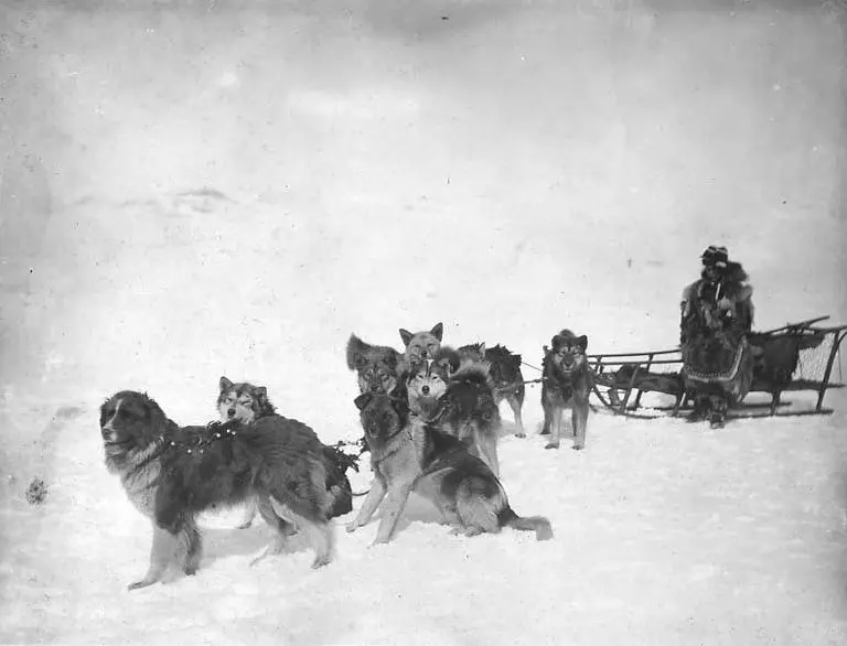 Despite Knowing You’re Licked: Mary Woodbury Caswell’s Short Story ‘North of Fifty-Three’