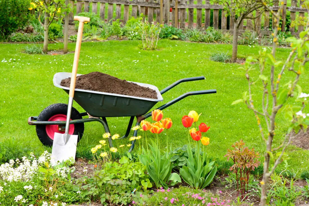 Fertilizer Fundamentals: A Lush Lawn and Blooming Garden Start Now