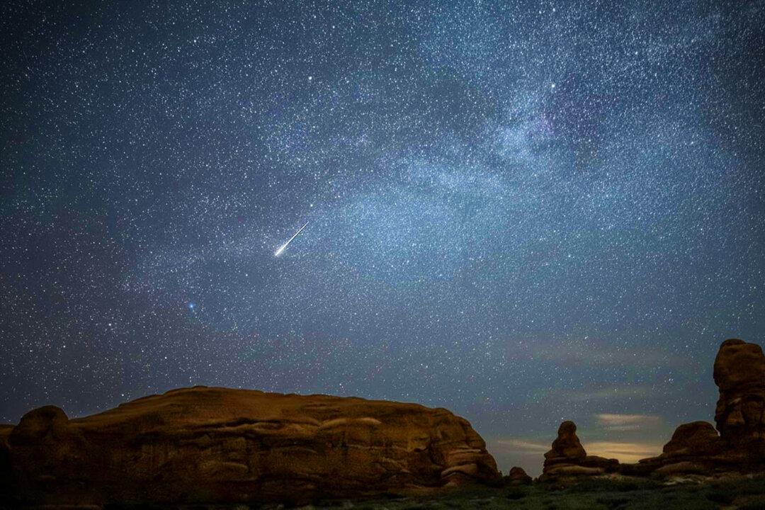 Upcoming Lyrids Will End Meteor Shower Drought—What You Need to Know