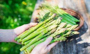4 Asparagus Recipes Bring Bright, Seasonal Flavor
