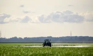The Line We Refuse to Draw on Glyphosate