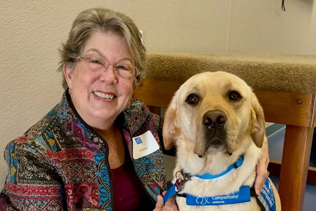 Training Service Dogs to Become Heroes to Those in Need