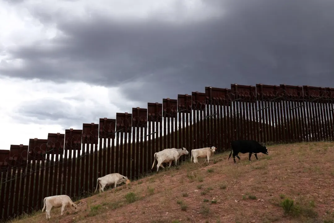 USDA, US Army Break Ground on Texas Facility to Combat Flesh-Eating Parasite Spread