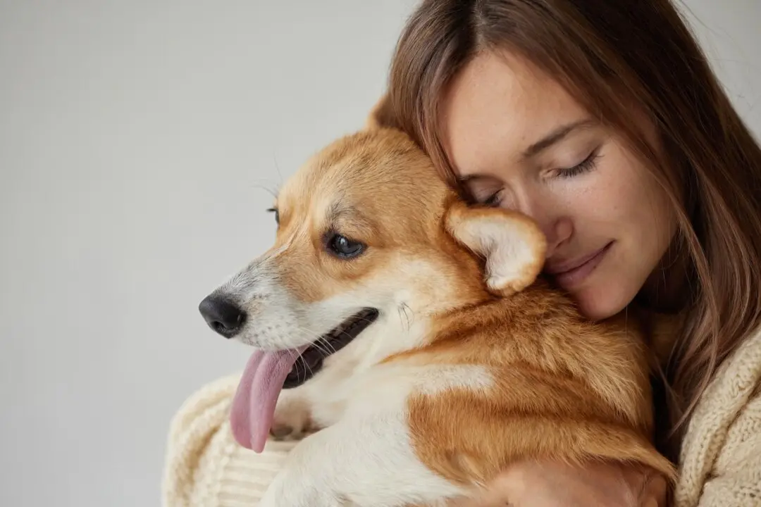 Many Reasons Dogs Prefer Certain People