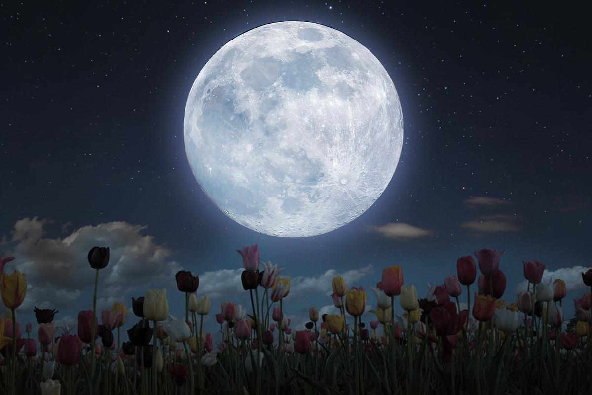 Two Full Moons Will Occur in May, Including a Rare ‘Blue’ Micromoon—What You Need to Know