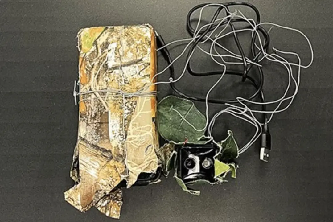 Camera Found in Southern Ontario Town Used to Scout Homes for Break-Ins: Police