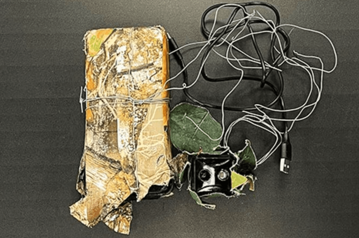 Camera Found in Southern Ontario Town Used to Scout Homes for Break-Ins: Police