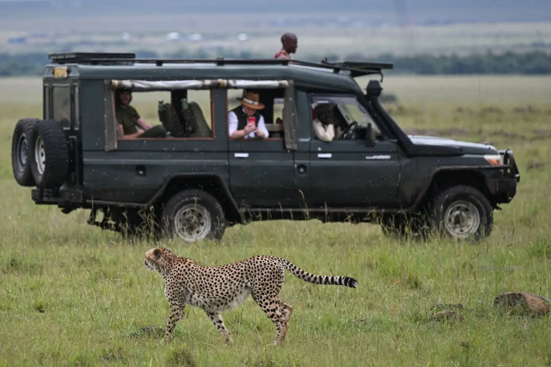 Unforgettable Destinations for Multi-Gen Trips, According to Travel Advisers