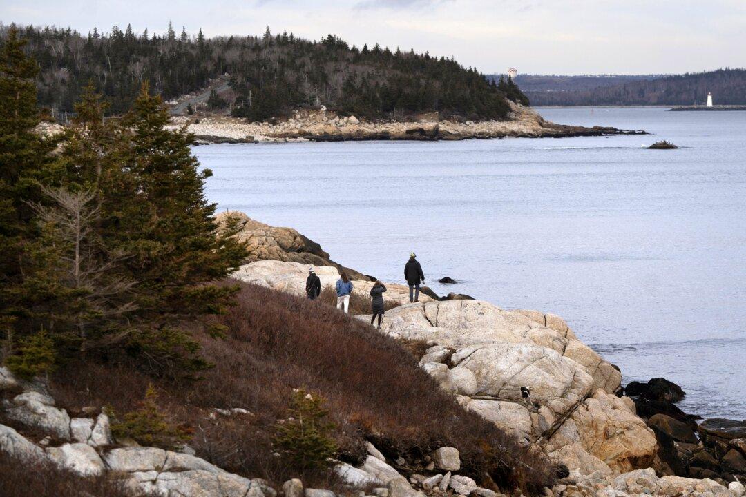 John Carpay: Court Ruling on Nova Scotia’s ‘Woods Ban’ a Victory for Freedom