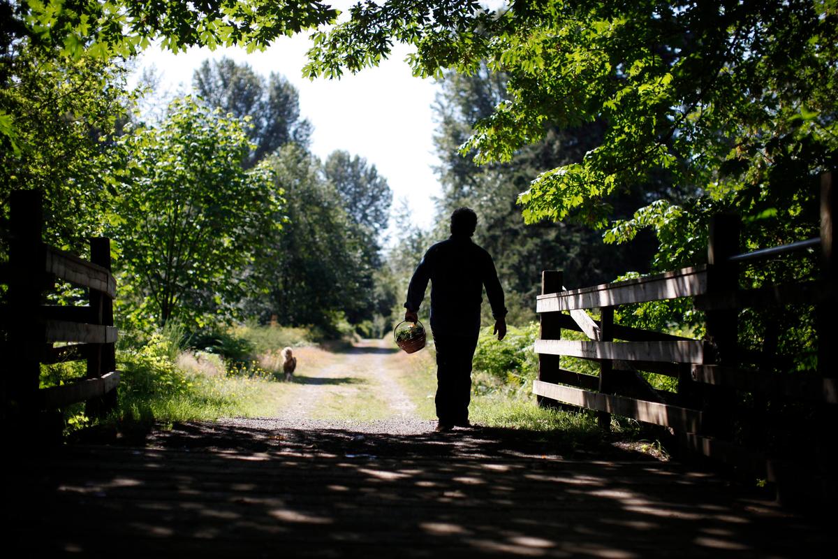 Cowichan Valley Land-Use Backlash Highlights Tension Between Global Goals and Local Concerns