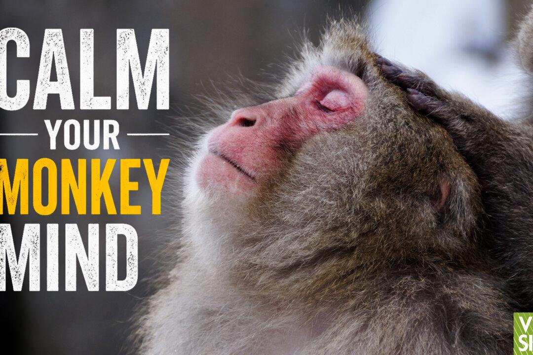 Mindfulness: Why Your Mind Runs Wild—First Steps to Taking Control