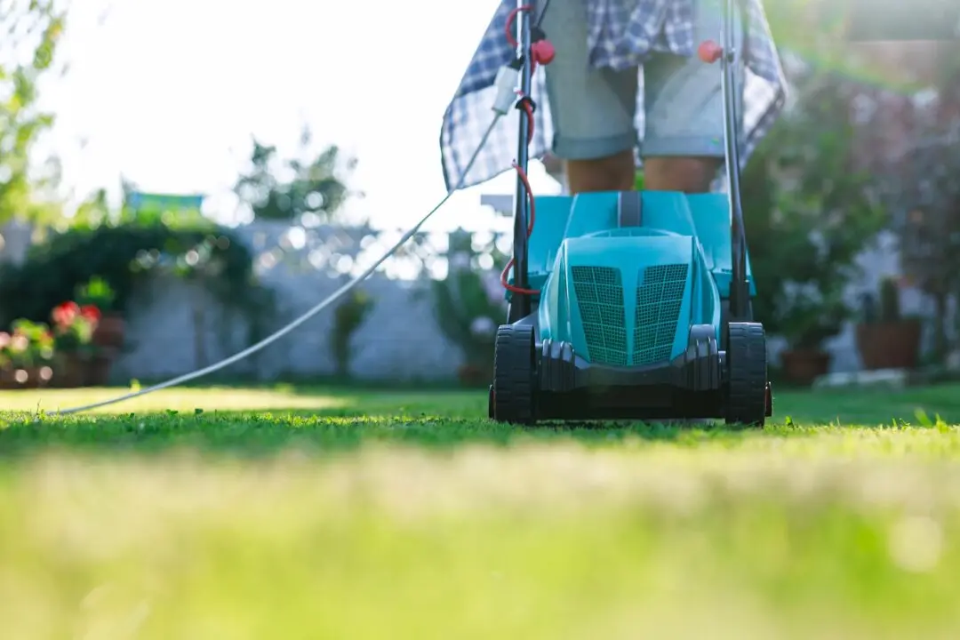 Proper Lawn Mowing Height