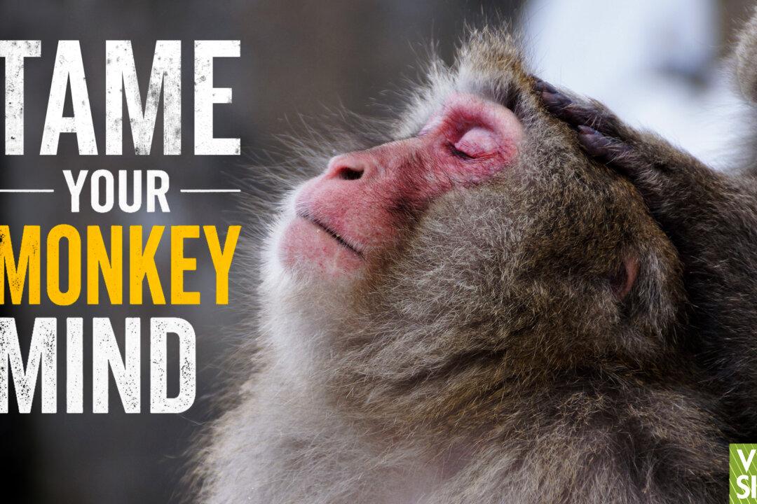 Mindfulness: Why Your Mind Runs Wild—First Steps to Taking Control