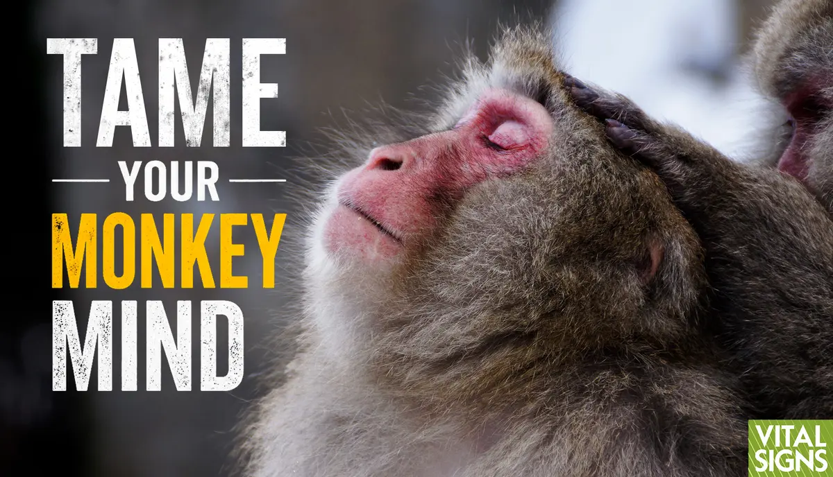 Mindfulness: Why Your Mind Runs Wild—First Steps to Taking Control thumbnail