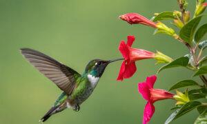 25 Everyday Miracles to Inspire Awe