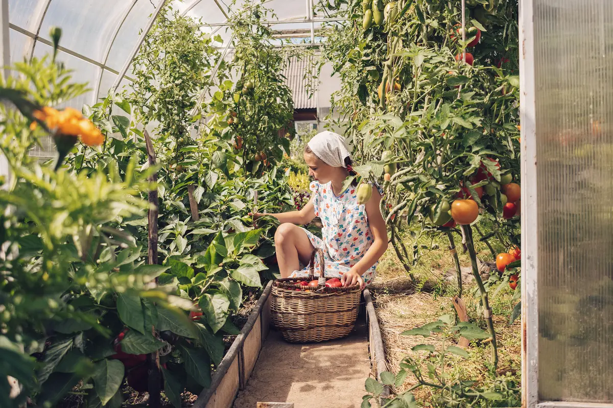 The 10 Laws of Gardening