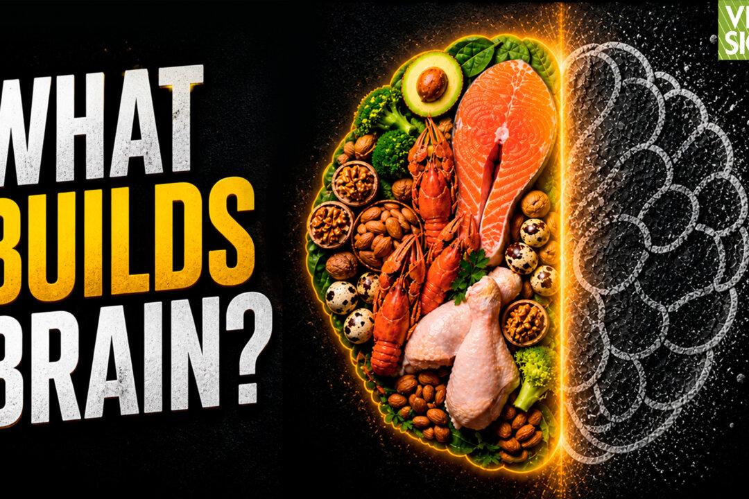 Which Protein, Fats for Brain Health? What’s Missing from the New Pyramid? | David Perlmutter MD