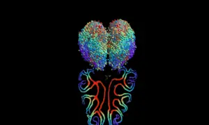 Scientists Map Smell for the First Time