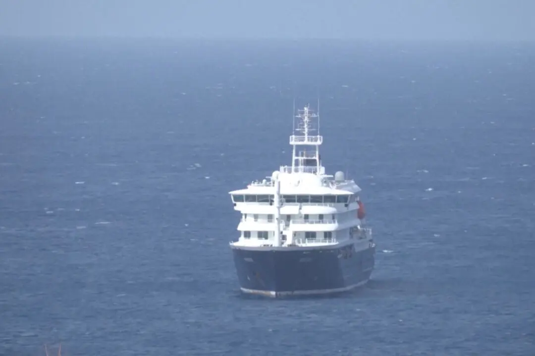 South Africa Identifies Hantavirus Strain That Can Spread Between Humans in 2 Cruise Ship Passengers
