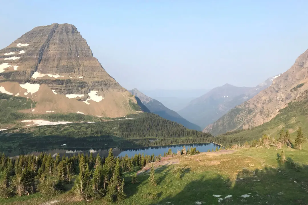 Hiker May Be First to Be Killed by Bear in Nearly 30 Years at Glacier National Park