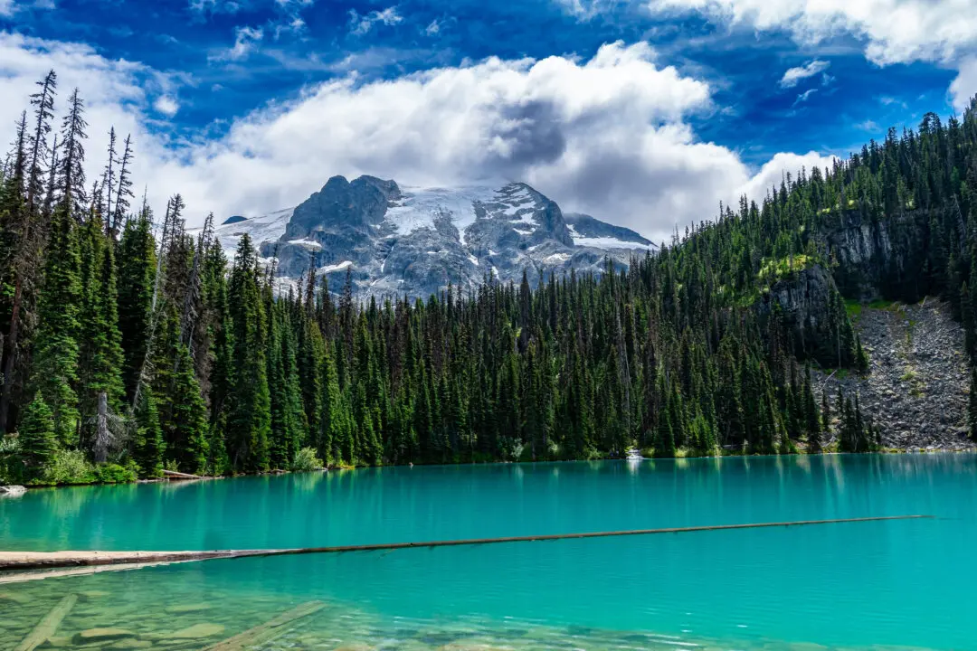 BC Park Schedules 2 Temporary Closures so First Nations Can ‘Connect With the Land’