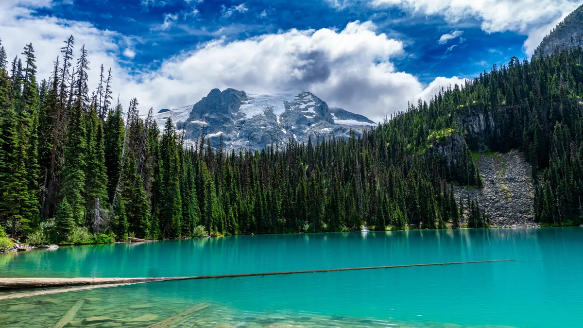 BC Park Schedules 2 Temporary Closures so First Nations Can ‘Connect With the Land’