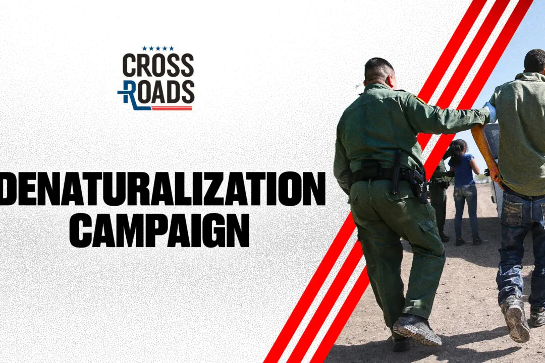 Who Could Lose Citizenship Under Denaturalization Campaign