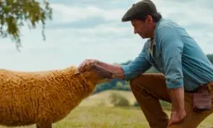 ‘The Sheep Detectives’: Movie Lightning Struck Twice on May 8, 2026