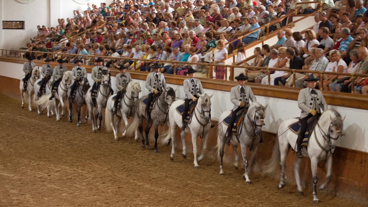 Rick Steves’ Europe: Europe’s Animal Shows and Experiences